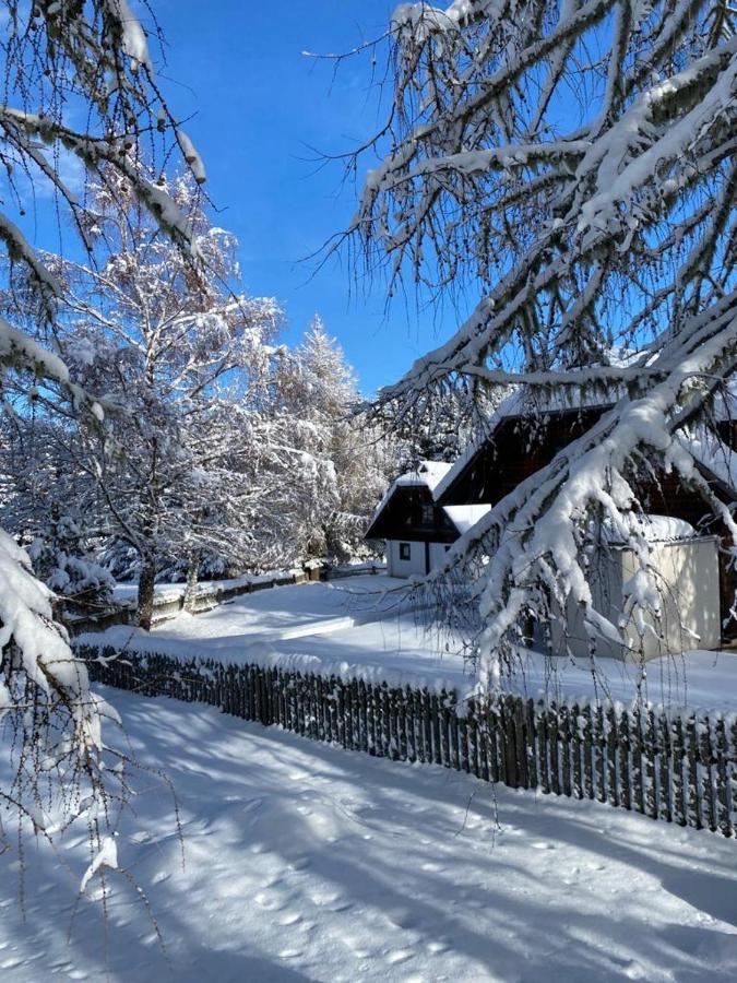 Ferienhaus Waldtraum Sankt Veit an der Glan Εξωτερικό φωτογραφία